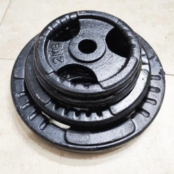 TẠ ĐĨA GANG 2KG