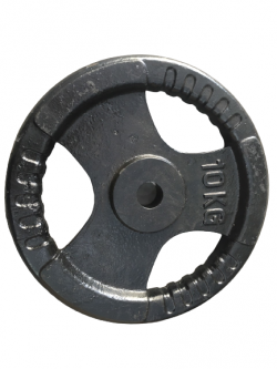 TẠ ĐĨA GANG 10KG