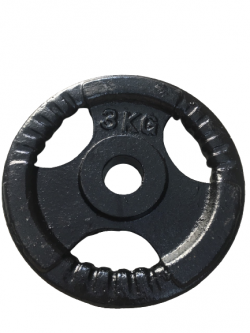 TẠ ĐĨA GANG 3KG