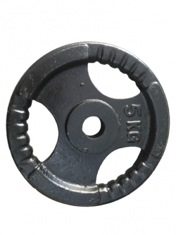 TẠ ĐĨA GANG 5KG