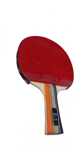 VỢT BÓNG BÀN 729-Z1 CÁN GỖ CAO CẤP