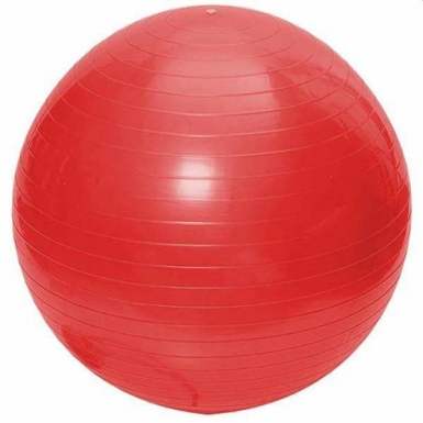 BÓNG YOGA ĐÀI LOAN PRO-CARE 65cm (Đỏ, Tím, Xám, Xanh dương)