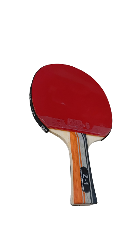VỢT BÓNG BÀN 729-Z1 CÁN GỖ CAO CẤP