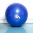 BÓNG YOGA ĐÀI LOAN PRO-CARE 65cm (Đỏ, Tím, Xám, Xanh dương)
